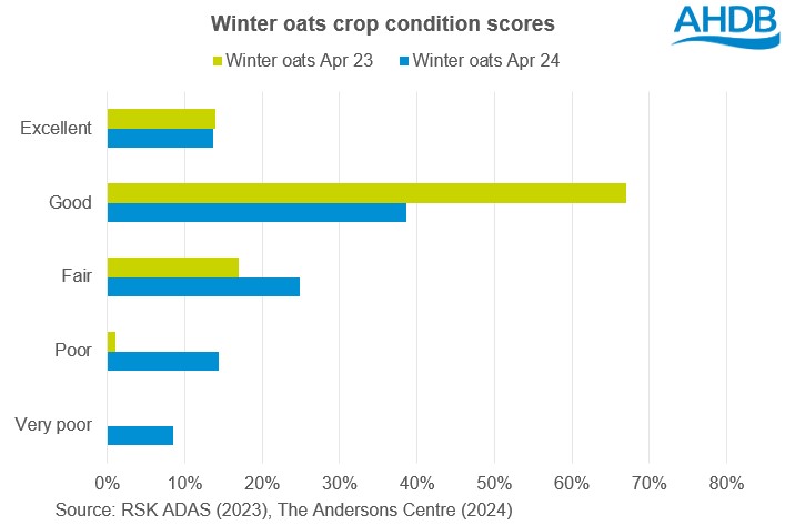 Chart showing GB winter oat conditions scores at the end of April 2023 and 2024